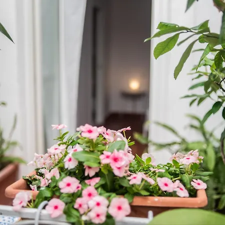 בית הארחה Palazzo Giotta - Dimora Storica 4*